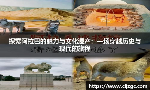 南宫NG28平台